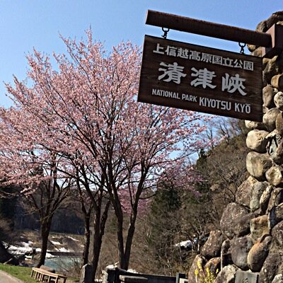 清津峡湯元温泉の御食事喫茶『渓谷』です。