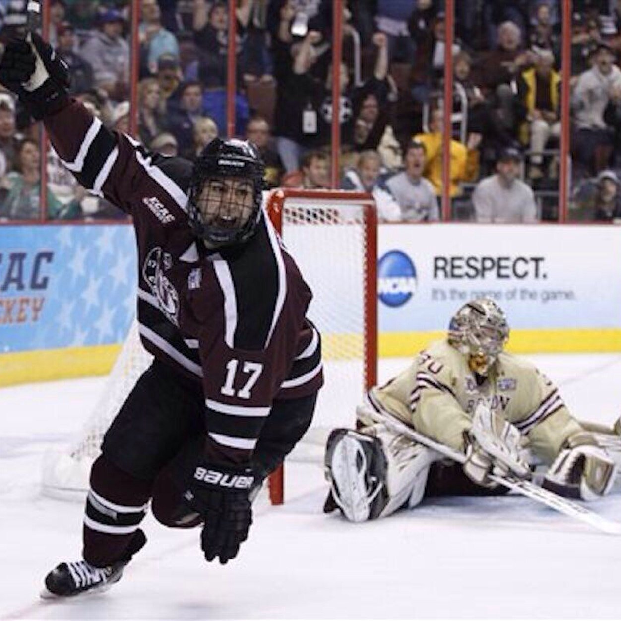 Professional Hockey Player - Union College Hockey Alum