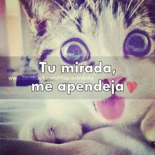AMOR &****