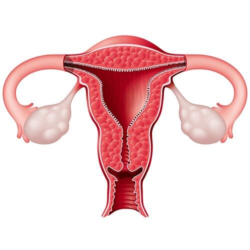 Dr. Alfredo Villanueva González, médico Gineco-Obstetra, especialista en Histeroscopia, Laparoscopia y Fertilidad