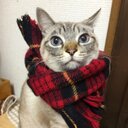 佳 (@0513Rad) Twitter