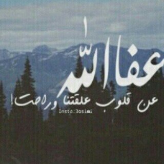 وحدهم الذين غرقُوا بما يكفي ؛ يتحدثون عن الأشياء بعُمق واضح !