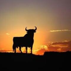 El toro no es un animal para nosotros;es muchísimo más: un símbolo, un tótem, una aspiración, una eucaristía con los de alrededor y los antepasados #sialostoros