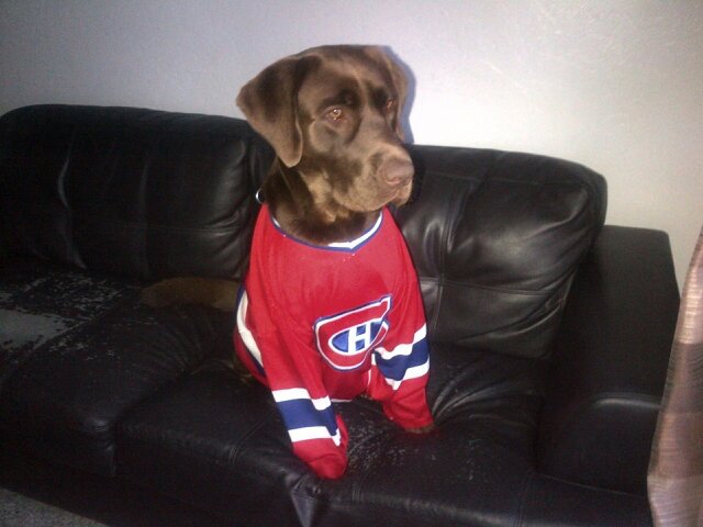 stephane
