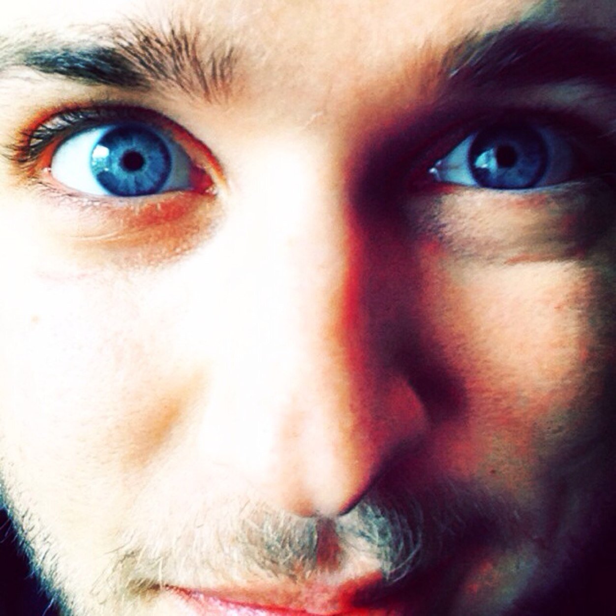 TheCSkal's profile picture. Okey dokey artichokey