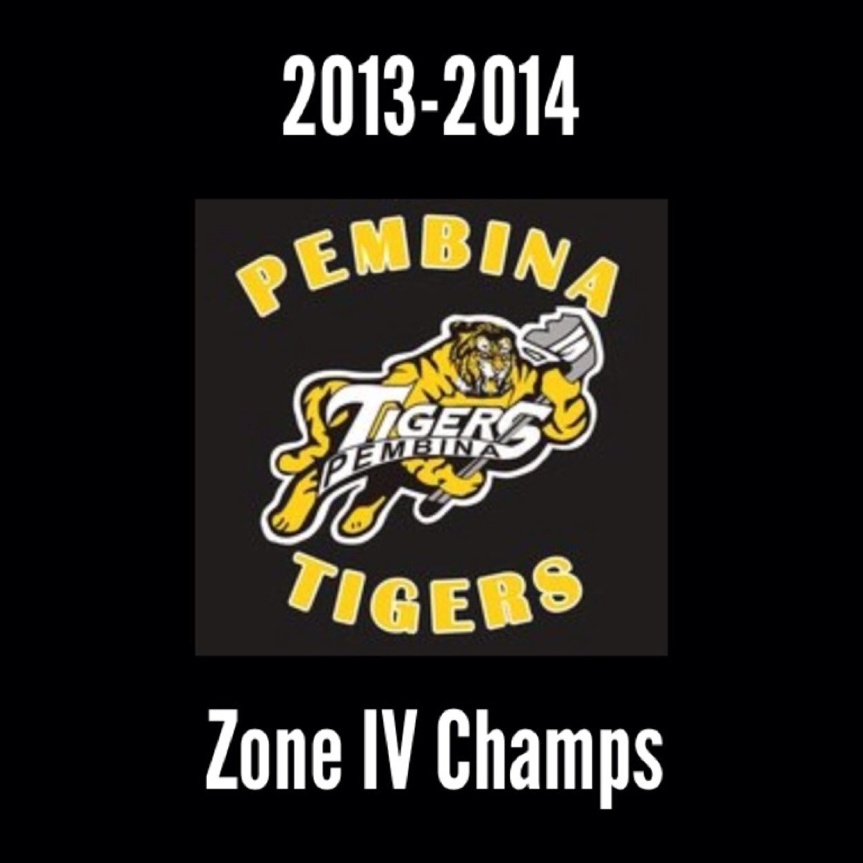 Your 2013/14 Zone 4 Champions! Manitou, Pilot Mound & Cartwright | #TigersHockey