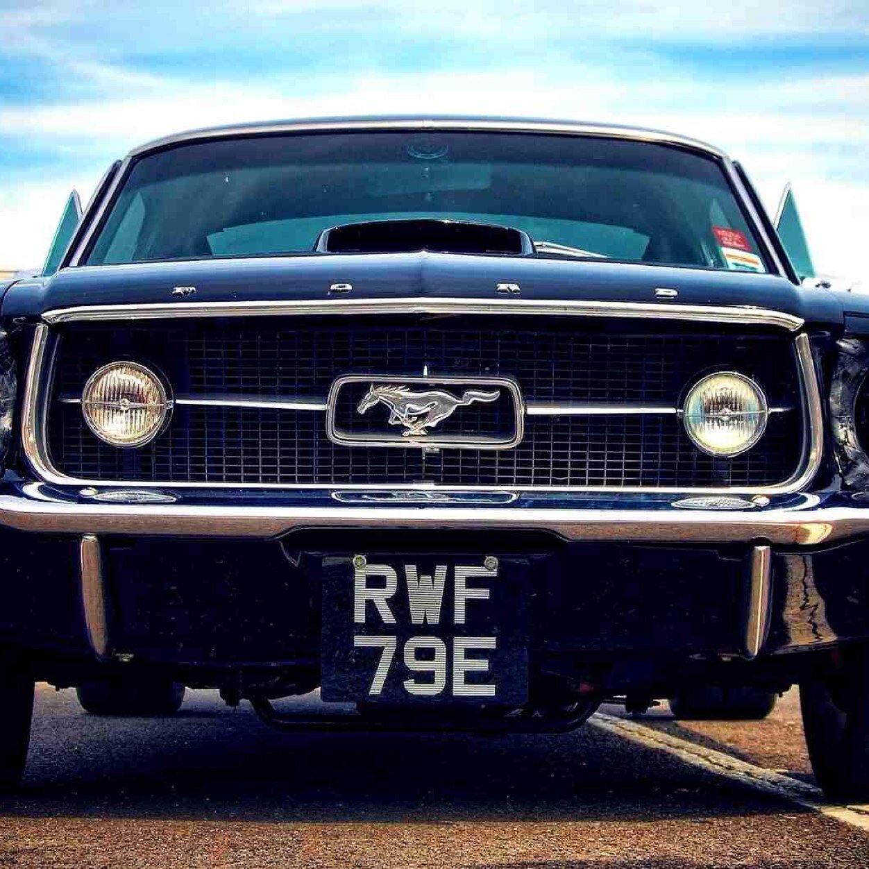 Throwbackcars's profile picture. The best of the best of classic muscle cars.