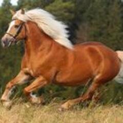 noor_noor52's profile picture. ادرس الهندسة الكهربائيه مهتمه بعلم الطاقه المتجدده الشمس تؤتي ثمارهاعاشقة للتحدي متفاءلة  من المقولات التي افضلها كن التغيير الذي تريد ان يراه العالم