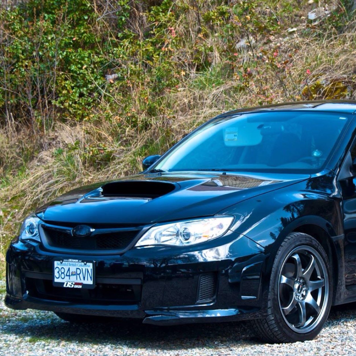 aaronklein00's profile picture. #lowerclass_kelowna