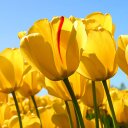 Amber Melvin - @AmberMelvin4 - Twitter