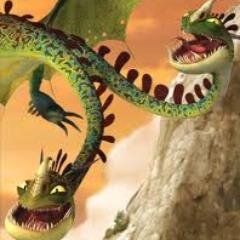 Dragon Of @Ruffnut_Twin & @Tuffnut_Twin