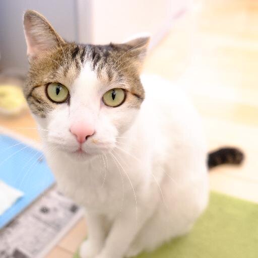 田舎デザイナー