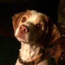 Mickey Moody - @moodymouse - Twitter