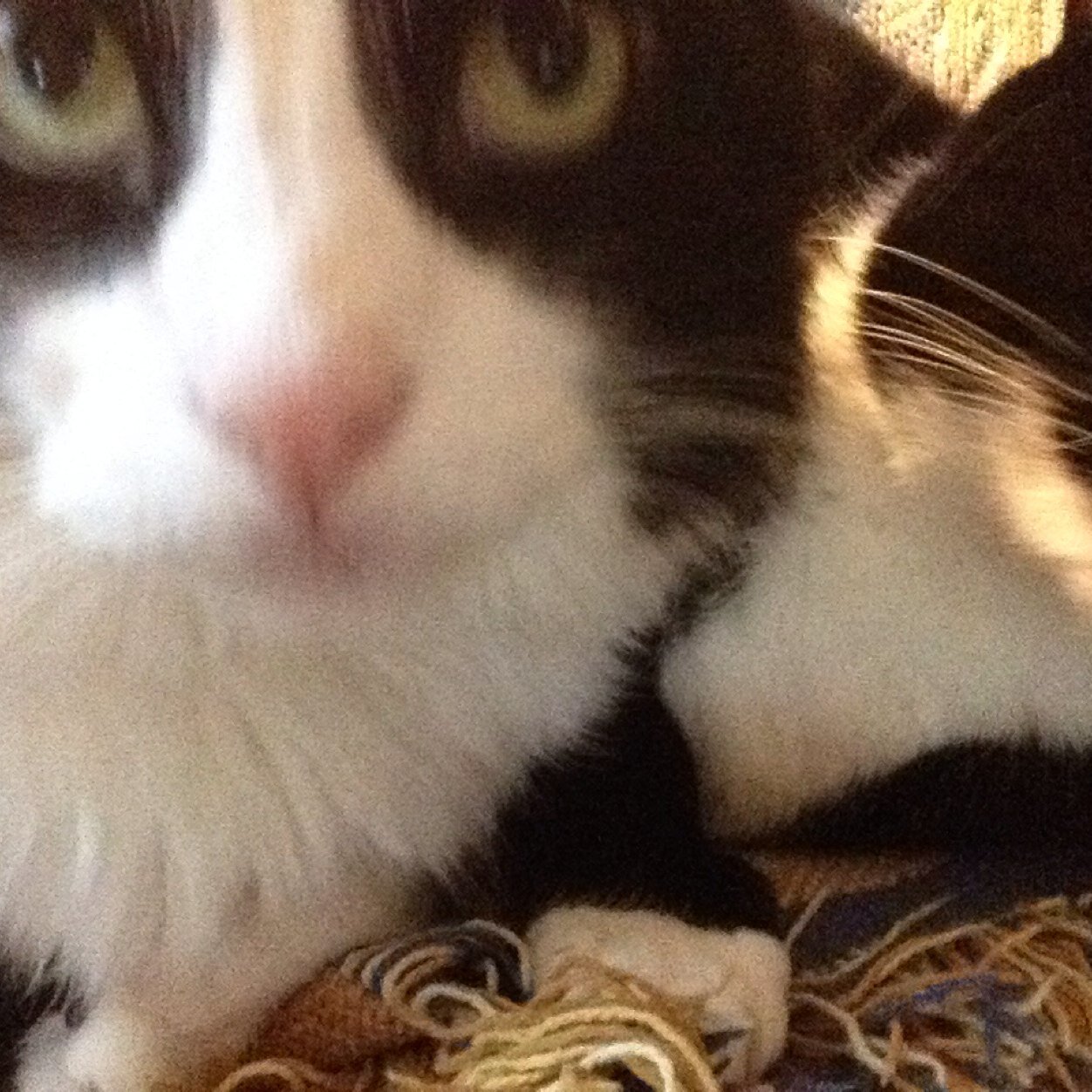 oliverbor9's profile picture. 