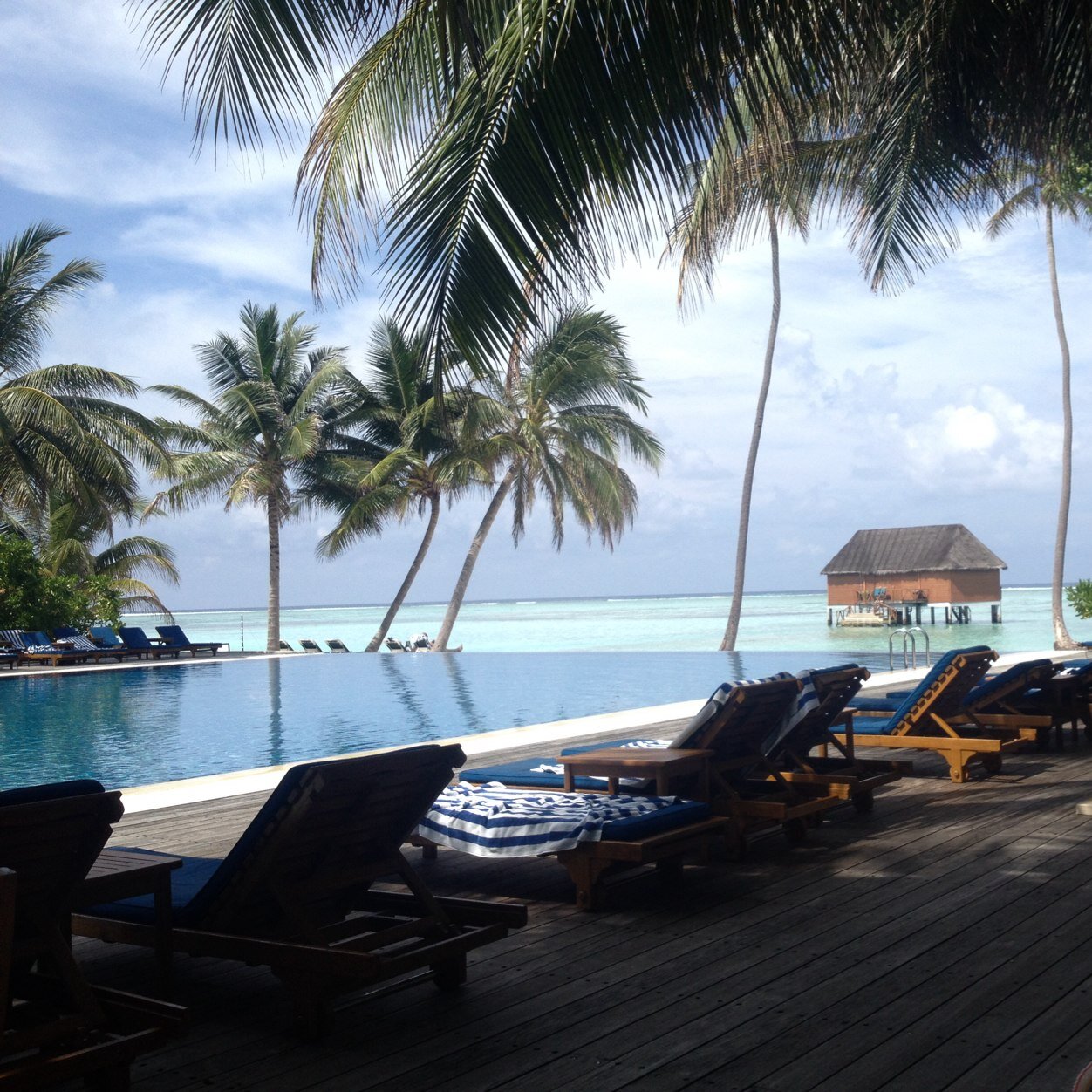 zoeyg1273_galea's profile picture. The cure for anything is salt water - sweat, tears or the sea. (Isak Dinensen)