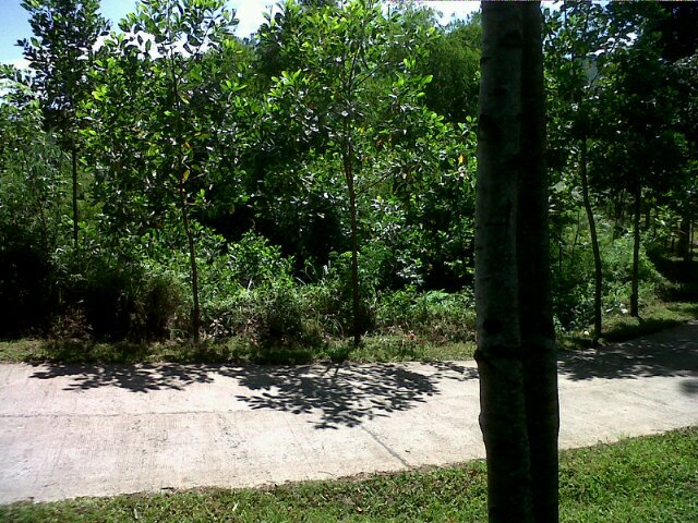 Dudung_Sutiawan's profile picture. 