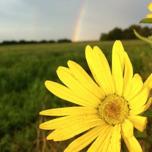 Yes, there is great hiking in Kansas!  Come check it out! find us on Facebook too!