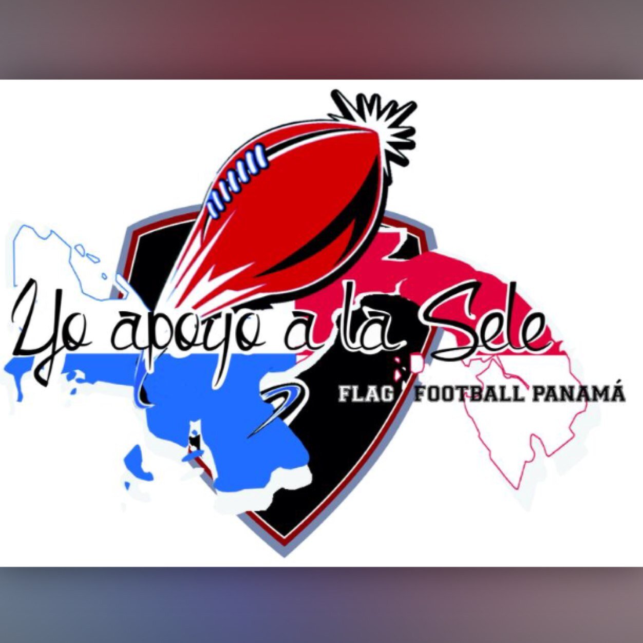 Panamaflag's profile picture. Somos la Seleccion de Flag Football de Panama y necesitamos tu apoyo para representar al pais en el Mundial de Italia 2014. Mundialpanama@gmail.com