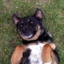 John Ogle - @johnogle96 - Twitter