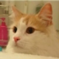 おぷに (@marupuni223) Twitter profile photo