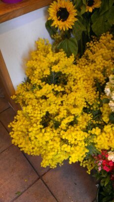 poppagud's profile picture. 