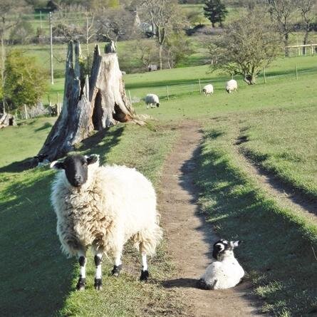 An online resource, showcasing all that the beautiful Hope Valley in Derbyshire has to offer.