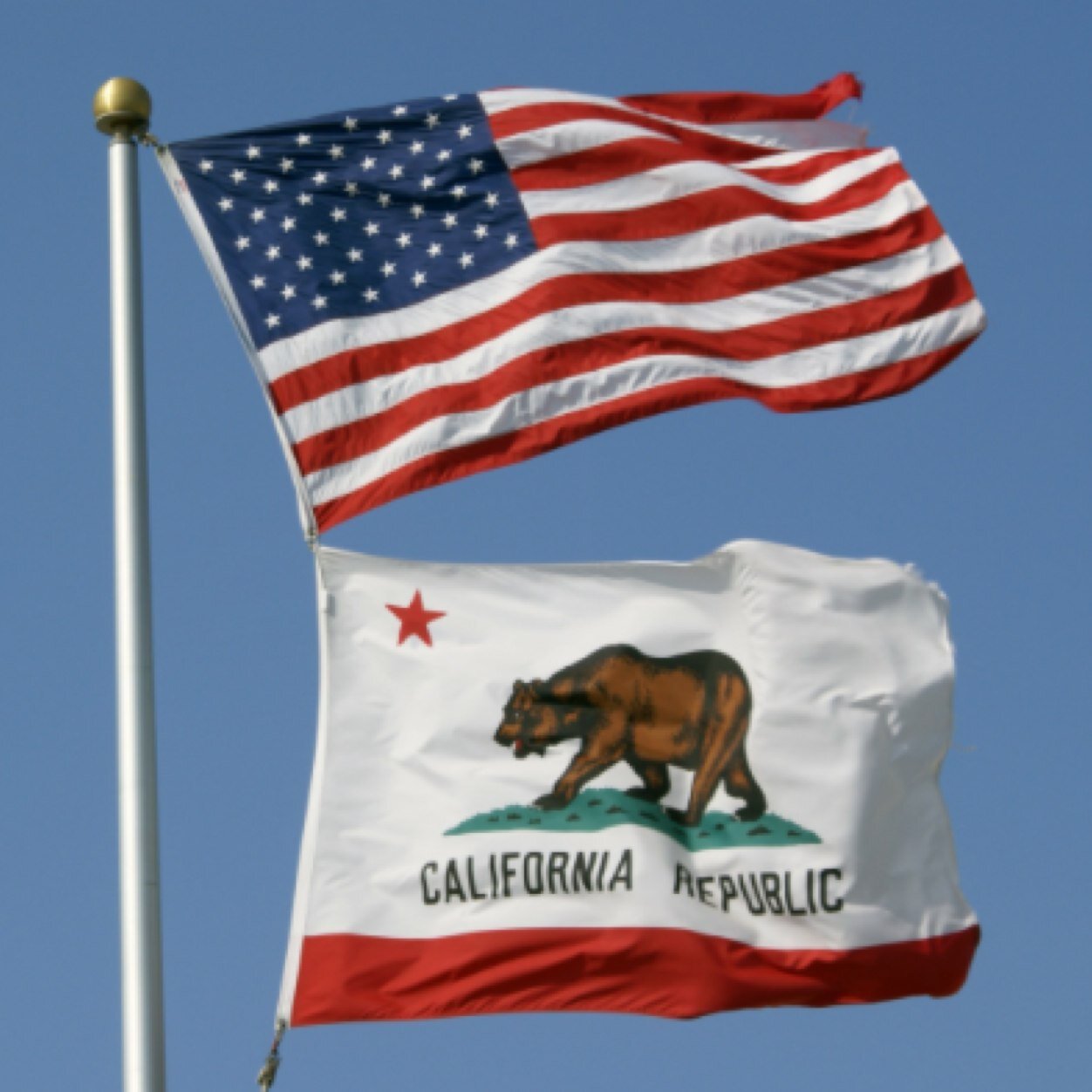 DefendLibertyCA's profile picture. Educate and inform the whole mass of the people... They are the only sure reliance for the preservation of our own librty.