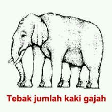Hbd yg lihat