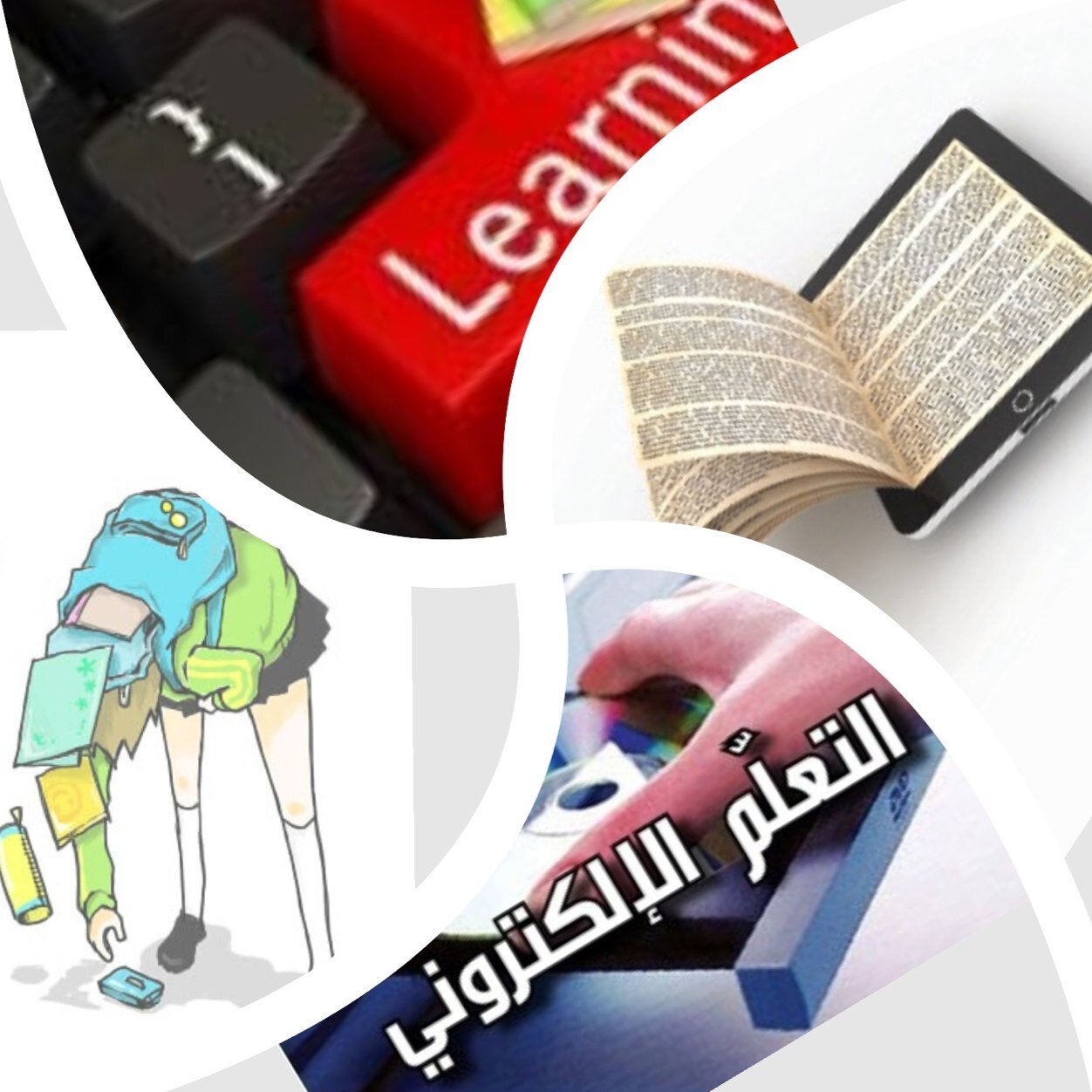 الحساب الرسمي للتعليم الإلكتروني - بكلية الإدارة والأقتصاد المنزلي بأبها - جامعة الملك خالد