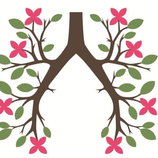 BreatheYP's profile picture. Breathe Yoga & Pilates, Trim’s only dedicated yoga and pilates studio, a place of calm for mind and body. In studio class limited to 5 blended with livestream.