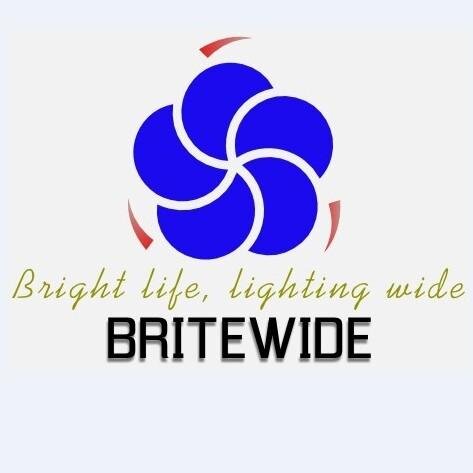 Professional general LED lights. advantageous price and high quality