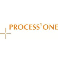 Process One (@process1consult) 's Twitter Profile
