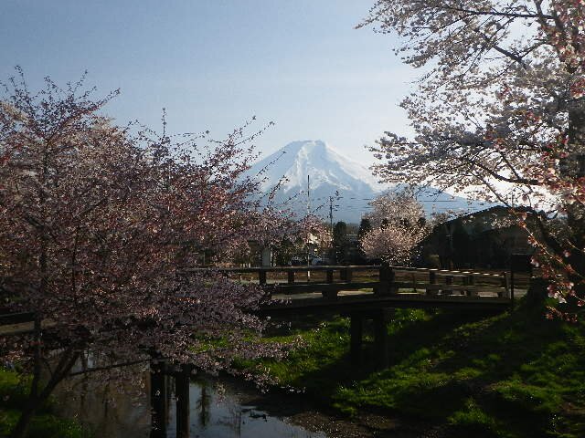 ぶん