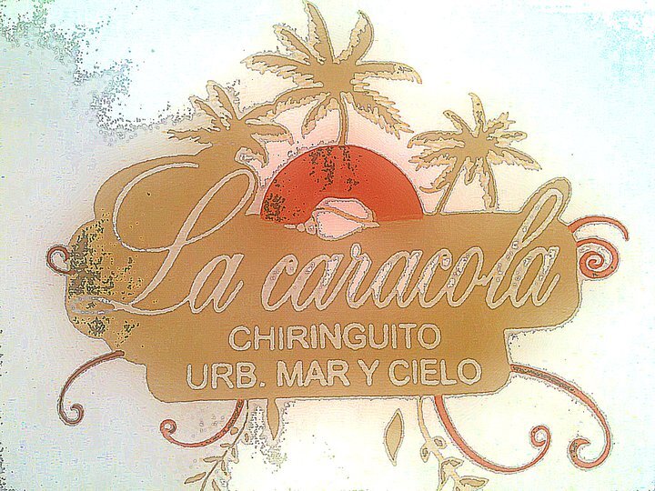 Chiringuito La Caracola les avalan más de 20 años de experiencia, donde su cocina se forma por platos típicos de su zona. #ChiringuitoLaCaracola1992 #Playa