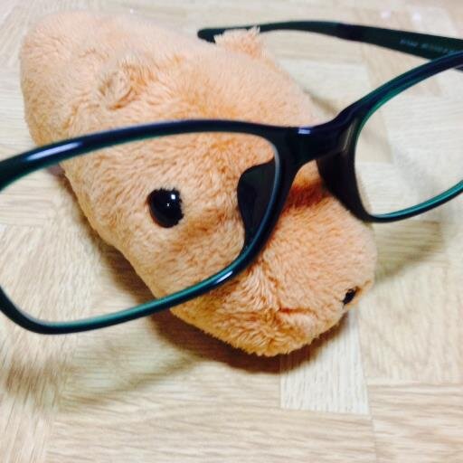 純粋に日本が好きな日本人(特に北海道)。愛国心を忘れないことが国民の当然の姿である。日本の国際、経済、歴史、文化について意見交換、情報共有できれば幸いです。よろしくお願いします。