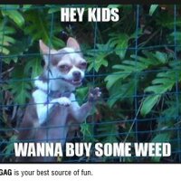 Henkhenkert (@henkhenkert1) 's Twitter Profile