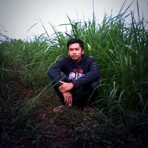 sepertikereta's profile picture. All fate is just to die