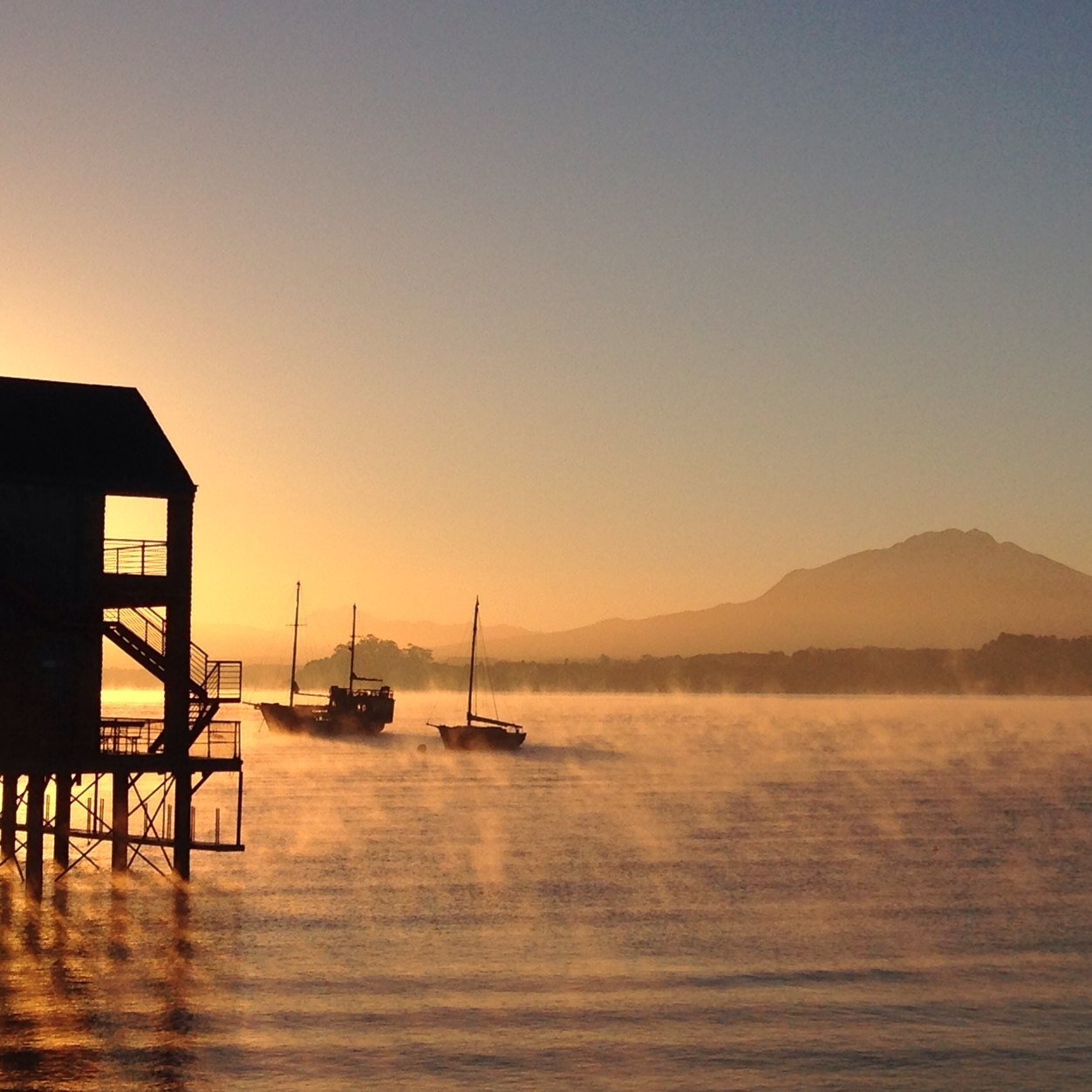 CienciasAcui's profile picture. Doctorado en Acuicultura