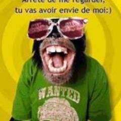 les gens zarb rester chez vous dans le plus grand des calmes