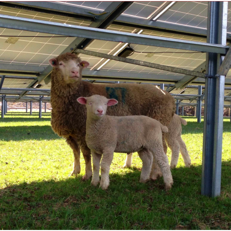 Creating a new model for community energy, working with @RidingSunbeams to power trains with solar. Berwick, Sussex, UK. Tweets by @AlisterScottUK.