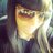 MskiaSharee's profile image