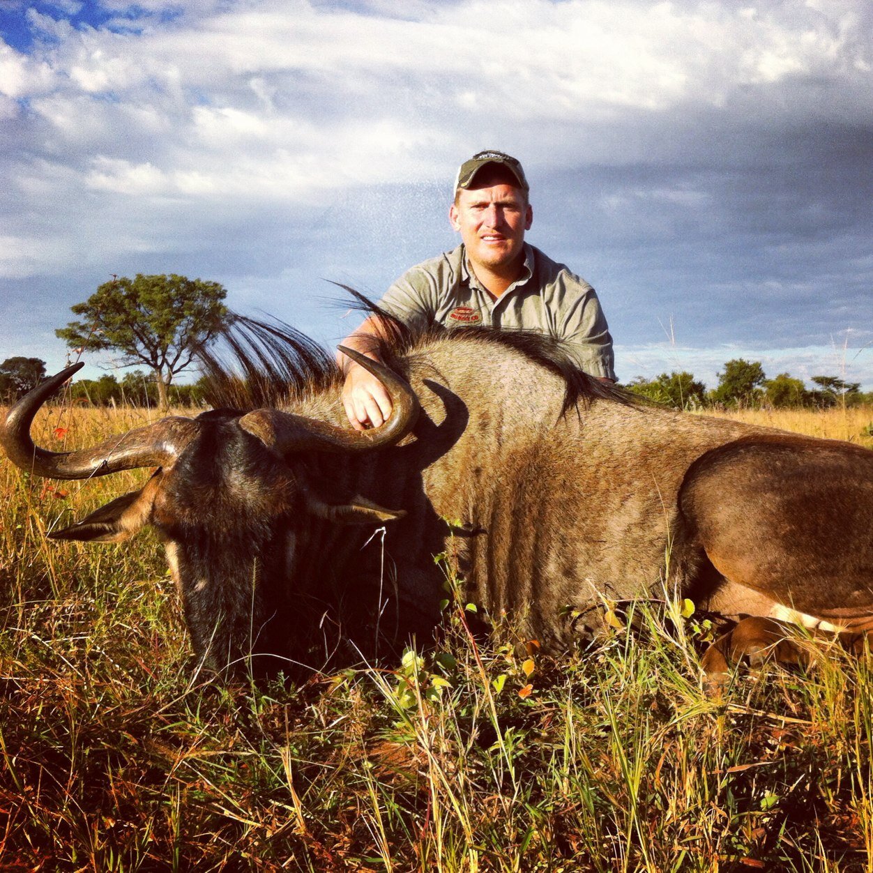 stollabong's profile picture. 