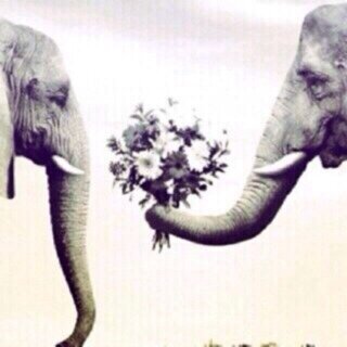 ﻻ إله إلا الله.