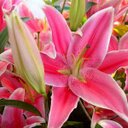 Shani Jackson - @shan1_shani - Twitter