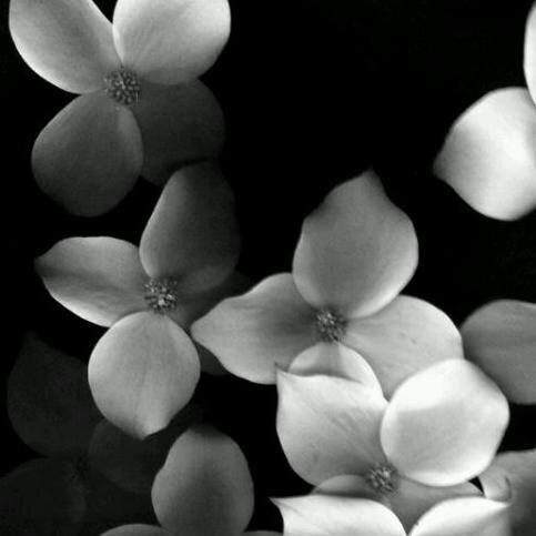 MrsHarrop's profile picture. Curiousity is my fuel.