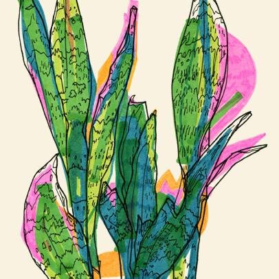 marina_gerosa's profile picture. dibujante, ilustradora