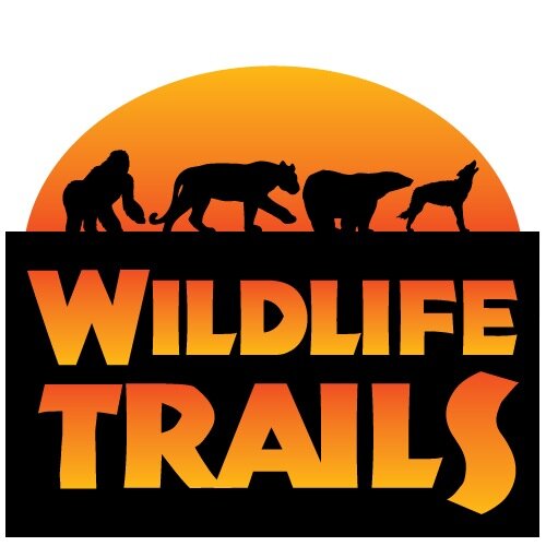 Bespoke safari holidays to unique destinations, specialising in wildlife conservation. We like to do things differently by following the path less travelled.