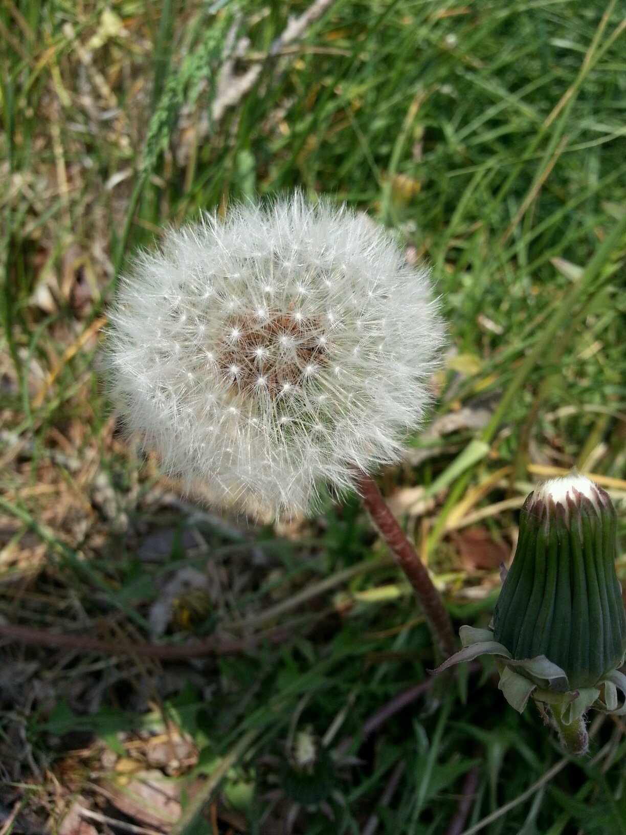 dream2968's profile picture. 이쁜 한결이랑 나은이 엄마, IL센터 사무국장, 장애인활동지원 코디네이터, 사회복지사, 활동가, 청바지, 야상점퍼, 애끼반지, 멈추지않는 눈물, 김대중, 노무현, 박원순, 공지영, 기아타이거즈