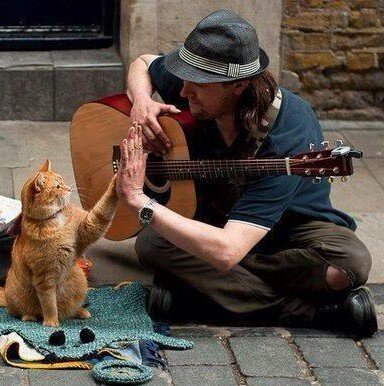 Irq11Mith's profile picture. 