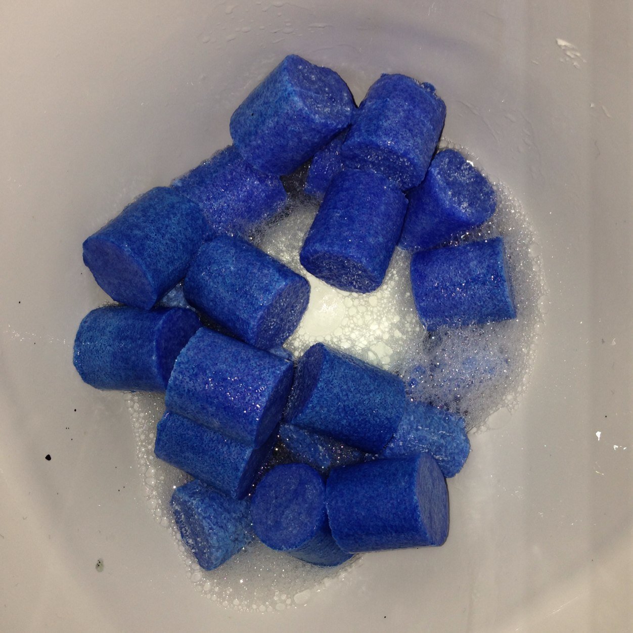 c_j_james's profile picture. Musician. fuck music. C I T I E S and Suns of Thunder. drinkies. he/him. Non bio.